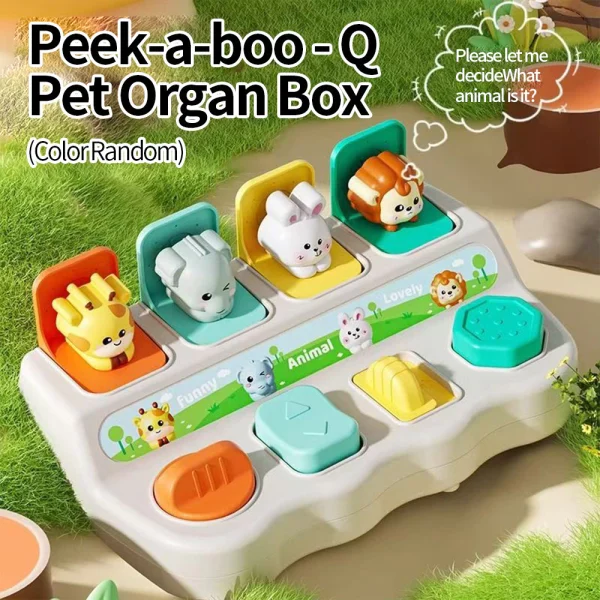 Random Baby Pop Up Animal Hide And Seek Peek a Boo Switch Box Sensory Toys